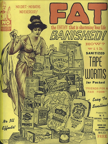 tapeworm diet